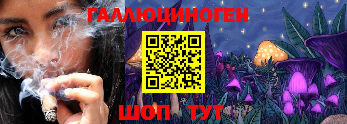 Черемхово  Псилоцибиновые грибы MAGIC MUSHROOMS  сколько стоит  Вход с VPN 